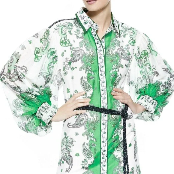 Alice and Olivia Oralia Printed Belted Dress - size 6 - NWT - Picture 4 of 9